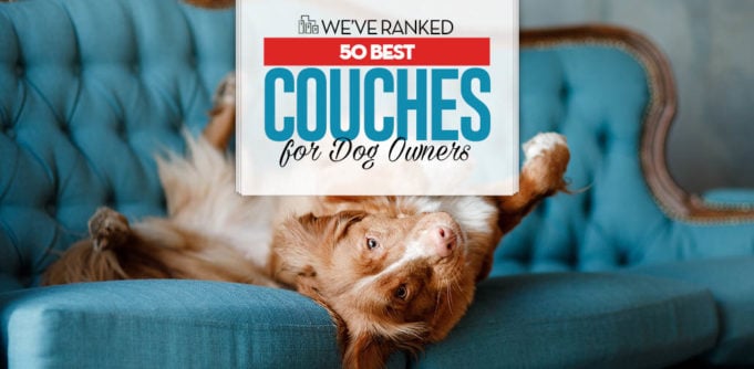 Top 50 Best Couches for Dogs