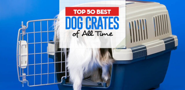 Top 50 Best Dog Crates