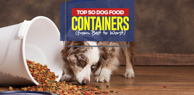 Top 50 Best Dog Food Container