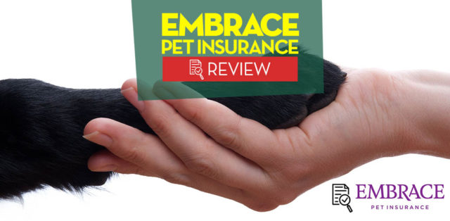 Top Embrace Pet Insurance Reviews