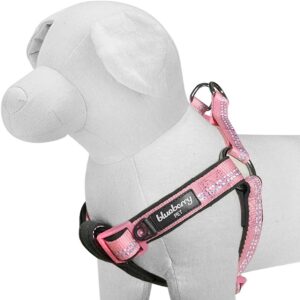 blueberry pet soft harness