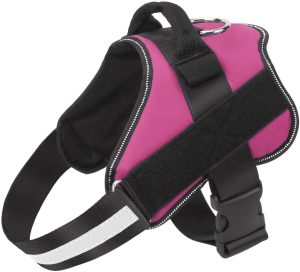 bolux harness