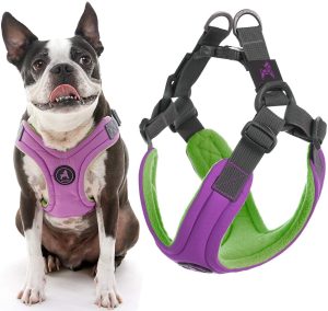 gooby trekking harness