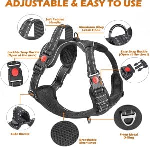 kindacoool harness