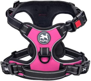 poypet harness