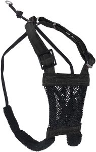 sporn training harness