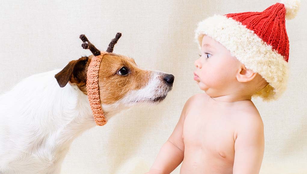 17 Rules to Keep Kids and Dogs Safe