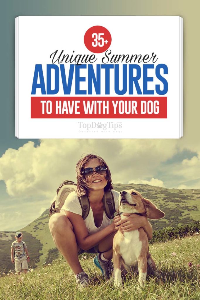 35 Cool and Unique Summer Adventures to Have with Dogs