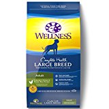 Wellness Large Breed Complete Health Adult Deboned Chicken & Brown Rice Recipe Dry Dog Food