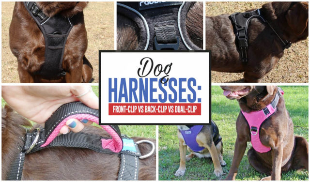 All Types of Dog Harnesses Tested and Compared