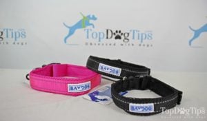 BAYDOG Harnesses, Leashes and Accessories for Dogs