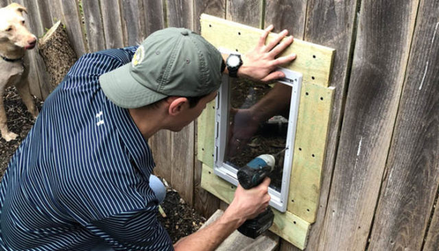 Best Dog Buddies Get Special Door in Fence So They Can Hangout Anytime featured image