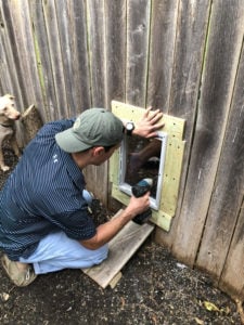 Building a dog door in the fence for the two friends