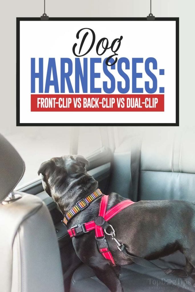 Different Dog Harness Types