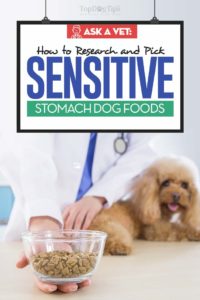 Dog Food for Sensitive Stomachs - The Vet’s Guide for Pet Owners