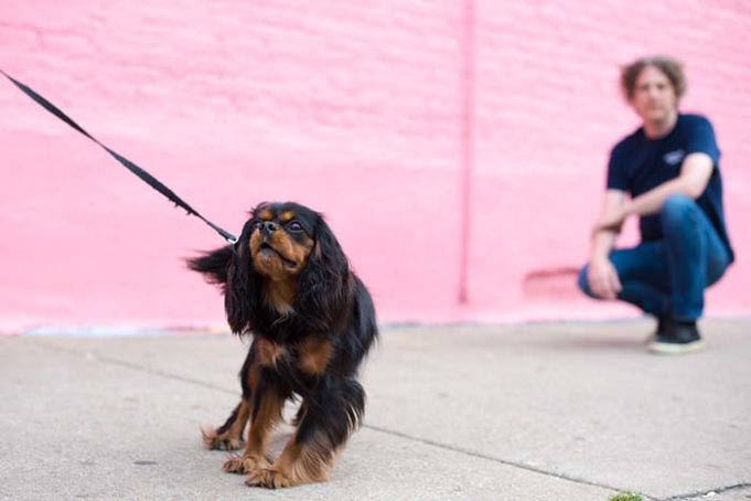 Dog Prefers Strangers Over You - Don't Worry, Experts Say