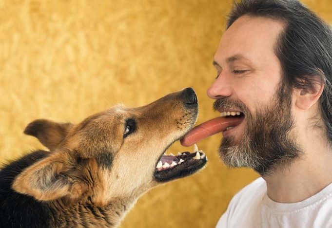 Dogs And Humans Share Surprisingly Similar Gut Bacteria, Study Says