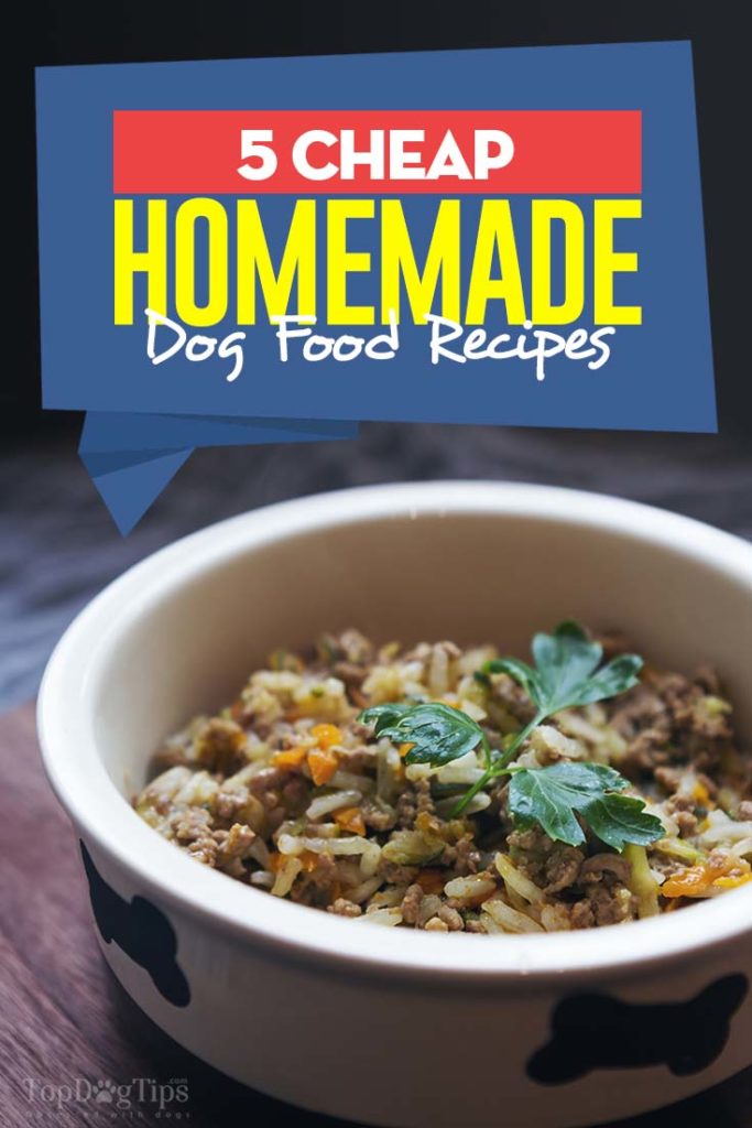 Good Cheap Homemade Dog Food Recipes