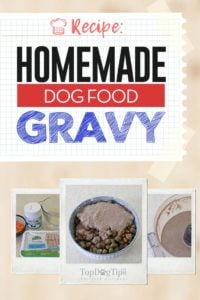 Homemade Dog Food Gravy Recipe