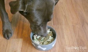 Homemade Dog Food for Arthritis Recipe