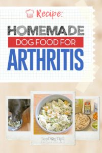 Homemade Dog Food for Arthritis Recipe