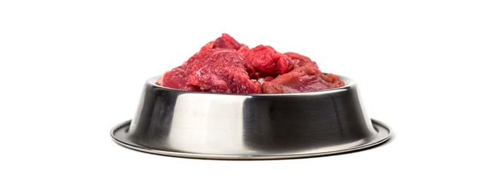 Meat among Common Homemade Dog Food Ingredients