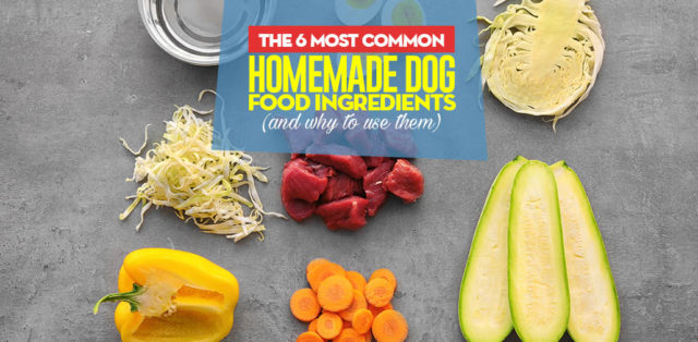 Most Common Homemade Dog Food Ingredients