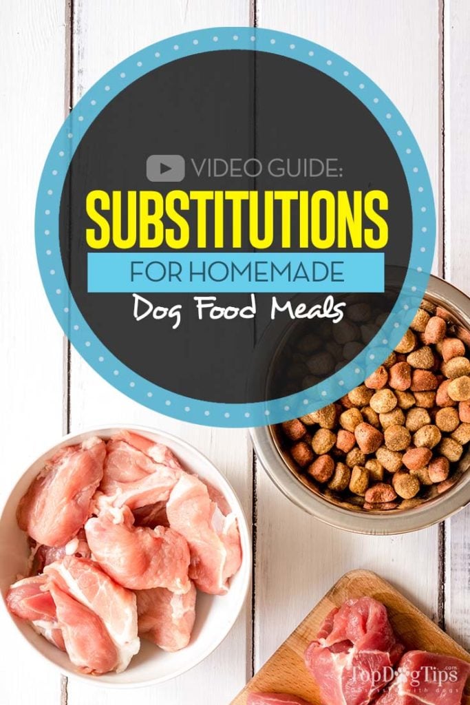 My Guide on Substitutions for Homemade Dog Food Recipes