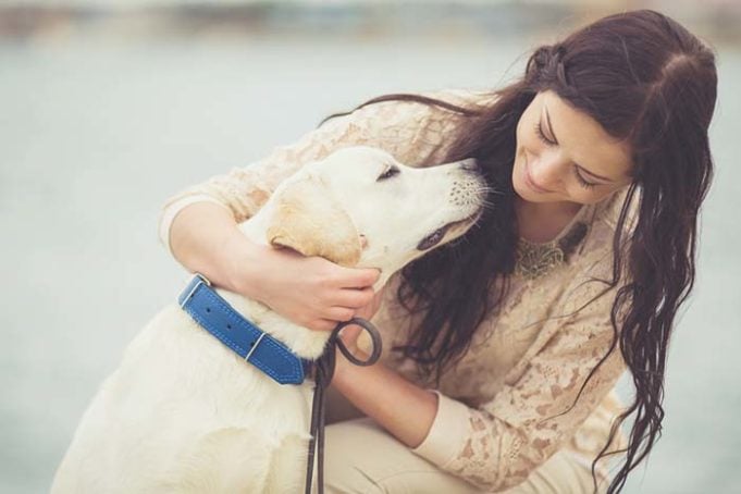 Scientists Explain Why Some Dogs Are Friendlier Than Others