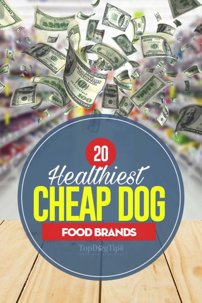 Top 20 Best Cheap Dog Food Brands That Are Healthy