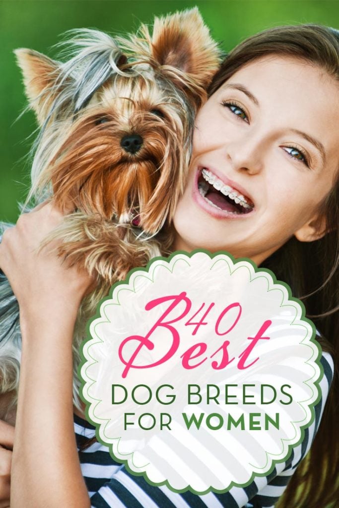 Top 40 Best Dog Breeds for Women