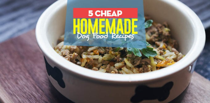 Top 5 Cheap Homemade Dog Food Recipes