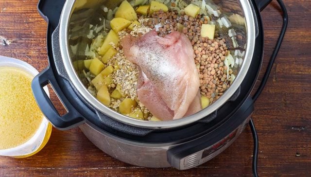 Ingredients for homemade dog food cooking inside a crockpot