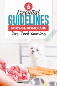 Top 6 Nutritional Guidelines for Homemade Dog Food Cooking