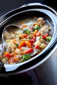 Veggie Protein Blast homemade crockpot dog food recipe