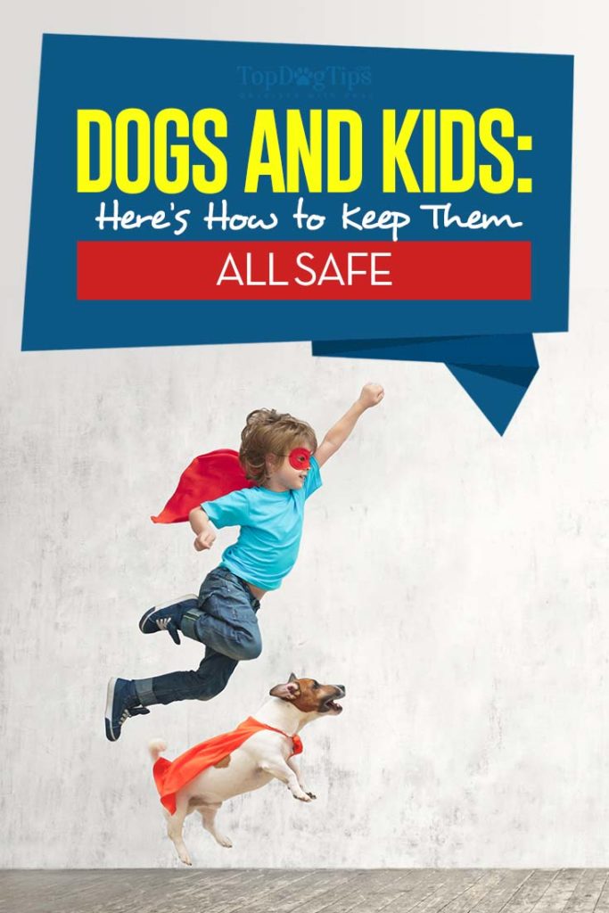 safety rules for kids and dogs