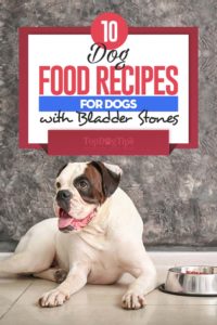 10 Homemade Dog Food Recipes for Bladder Stones