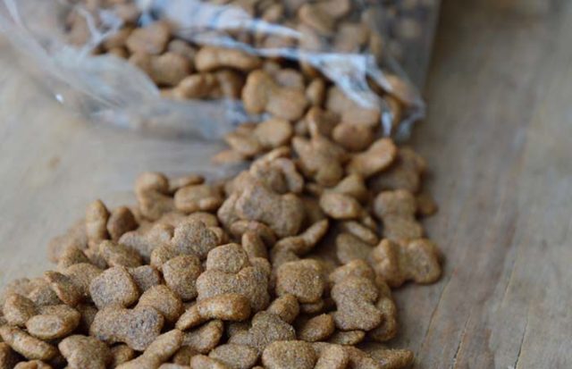 13 Tips on How to Store Dog Food Properly [Infographic]