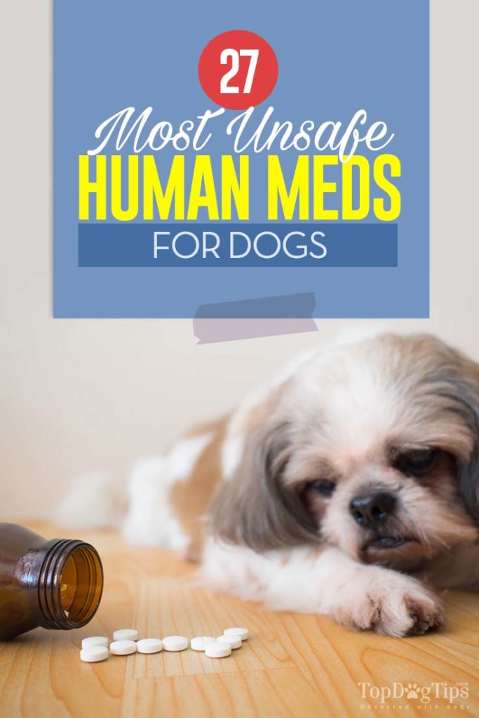 27 Most Unsafe Human Medicine for Dogs