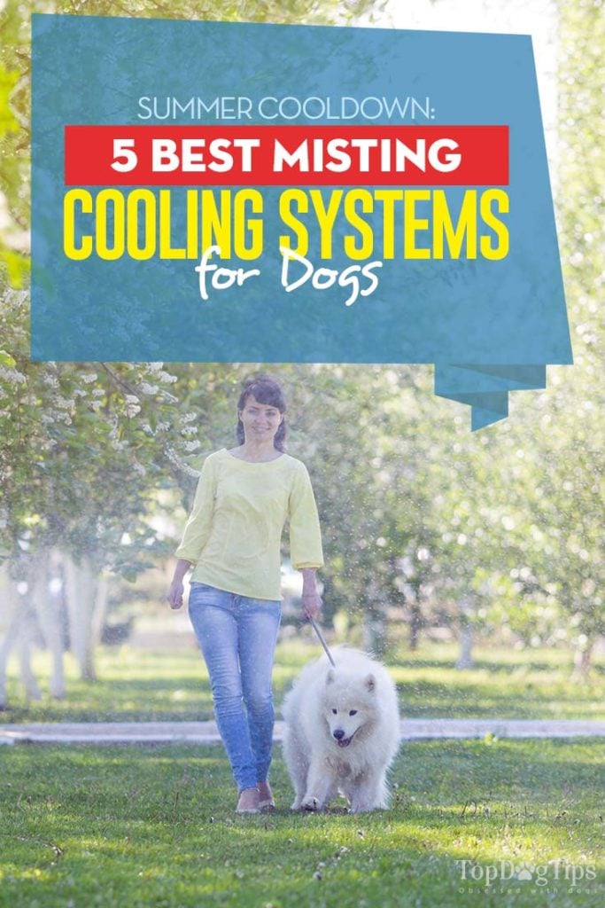 5 Top Rated Best Misting Cooling Systems for Dogs