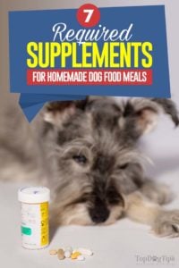 7 Essential Homemade Dog Food Supplements