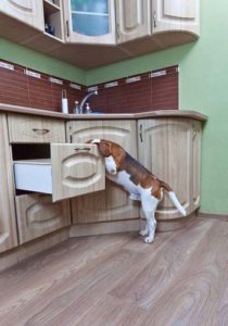 Add Child-Proof Latches to Cupboard Doors