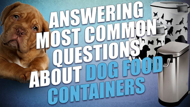 FAQ: 23 Questions to Ask Before Buying a Dog Food Container