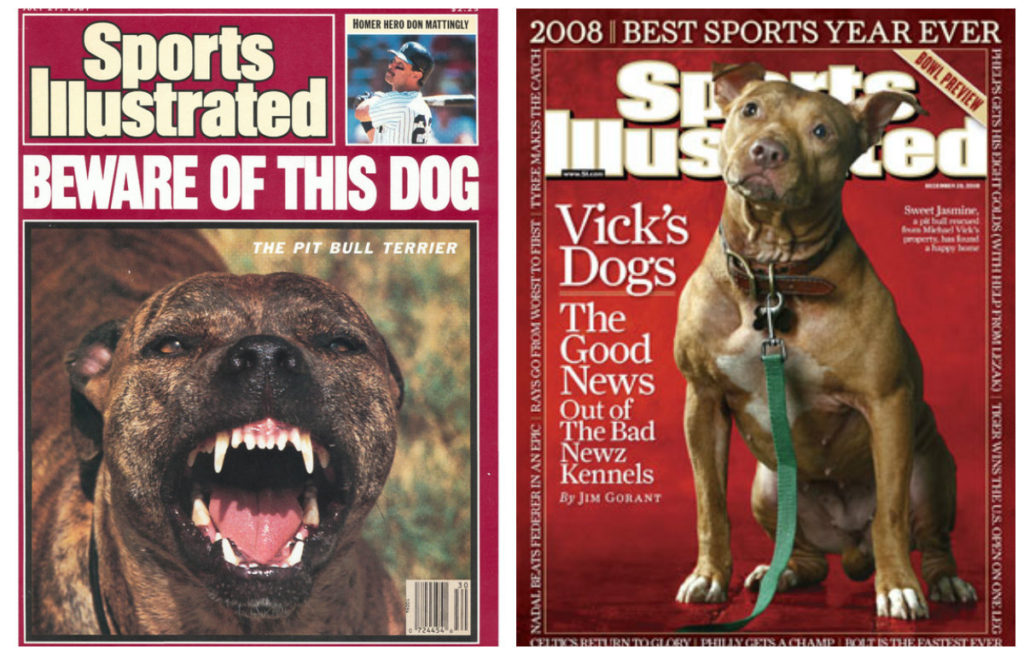 Beware of Pitbulls Sports Illustrated