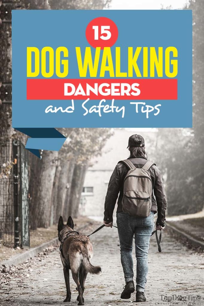 Dog Walking Dangers Pet Owners Must Be Aware Of