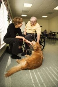 Dogs with Therapeutic Roles