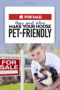 For Sale - 15 Ways to Make Your House Pet-Friendly Before Selling