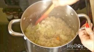 Homemade Dog Food for Heart Disease