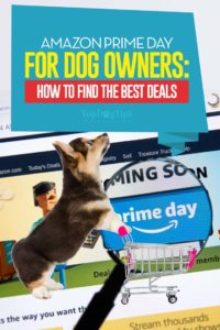 How to Prepare for Amazon Prime Day's Best Deals on Dog Supplies