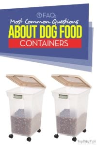 Most Common Questions About Dog Food Containers